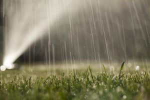 Graszoden onderhouden